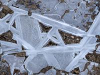 Gitterförmige dünne Eisstruktur umgeben von Eisnadeln